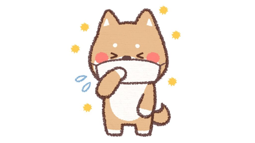 花粉症の季節ですね