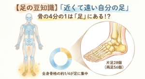 【足の豆知識】「近くて遠い自分の足」骨の4分の1は「足」にある！？