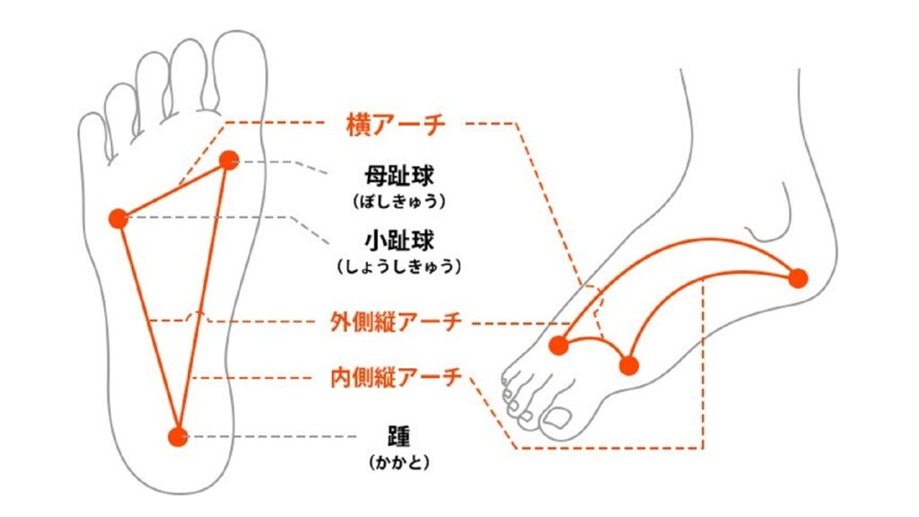 【肩こり・腰痛の根本原因】実は足のアーチ不足？土台から整える美姿勢の秘訣